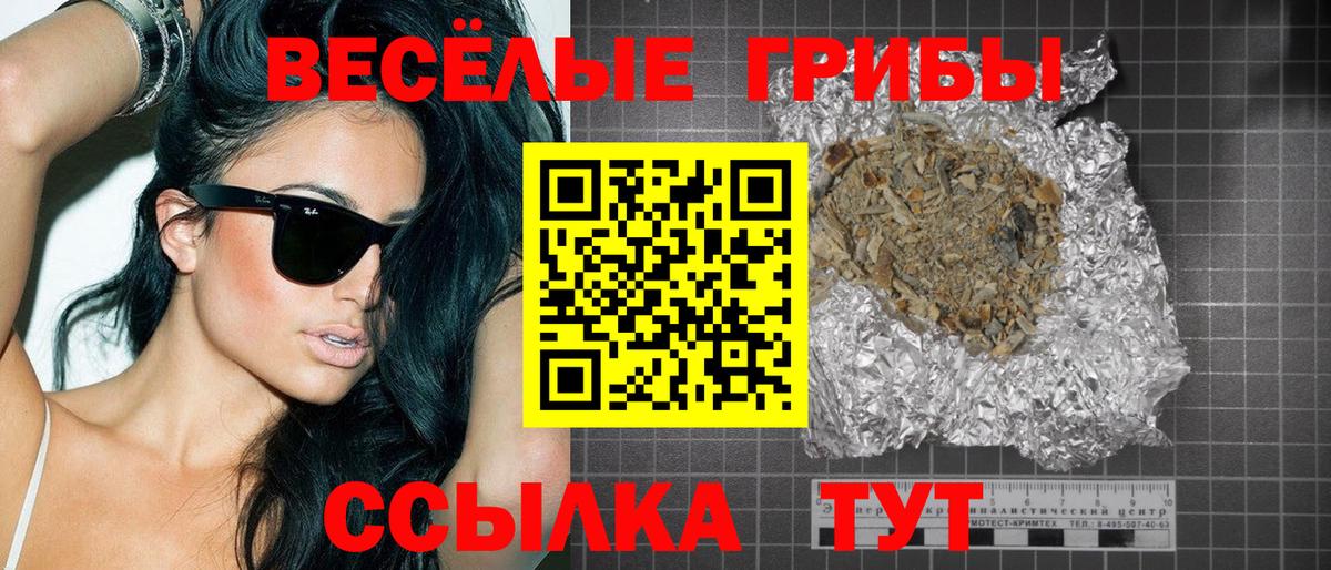 Видное  Псилоцибиновые грибы Magic Shrooms  Галлюциногенные грибы Psilocybe  закладка  Вход с VPN 